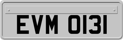 EVM0131