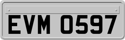EVM0597