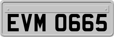 EVM0665