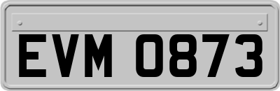 EVM0873