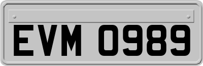EVM0989