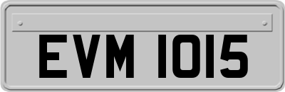 EVM1015