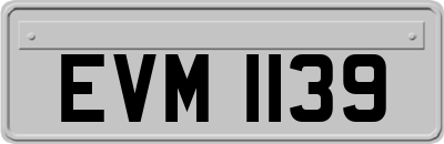 EVM1139
