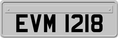 EVM1218