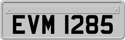 EVM1285