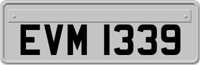 EVM1339