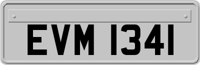 EVM1341