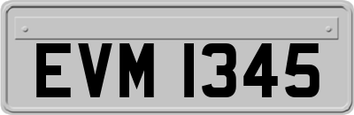 EVM1345