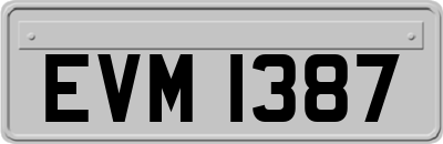 EVM1387