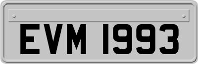 EVM1993