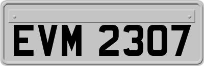 EVM2307