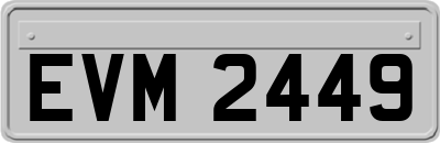 EVM2449
