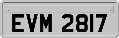 EVM2817