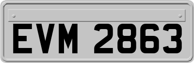 EVM2863