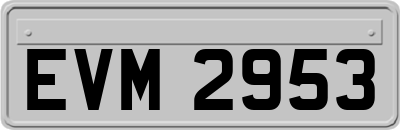 EVM2953