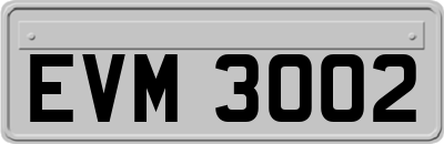 EVM3002