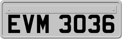 EVM3036