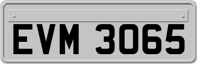 EVM3065