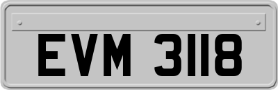 EVM3118