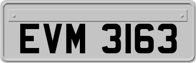 EVM3163