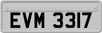 EVM3317