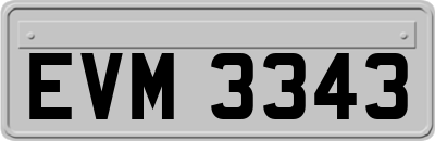 EVM3343