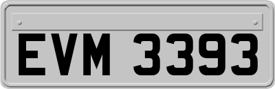 EVM3393