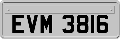 EVM3816