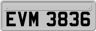 EVM3836