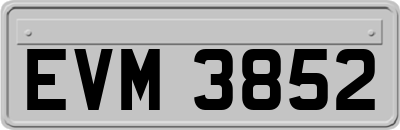 EVM3852