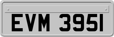 EVM3951