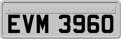 EVM3960