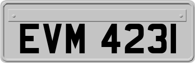 EVM4231