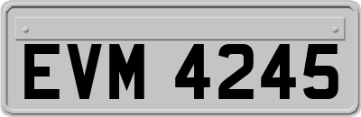 EVM4245