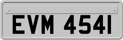 EVM4541