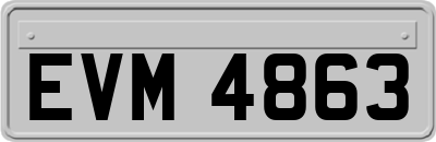 EVM4863