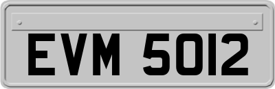 EVM5012