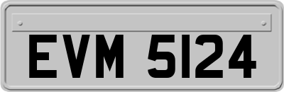 EVM5124