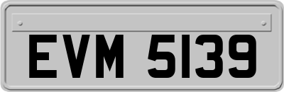 EVM5139