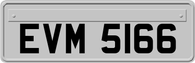 EVM5166