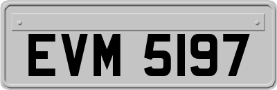 EVM5197