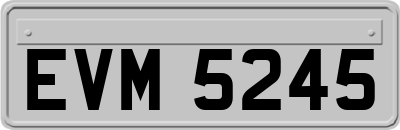 EVM5245