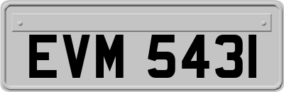 EVM5431