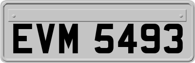 EVM5493