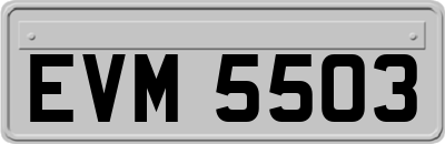 EVM5503