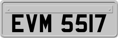 EVM5517