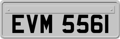 EVM5561