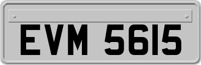 EVM5615