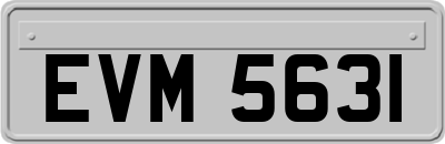 EVM5631