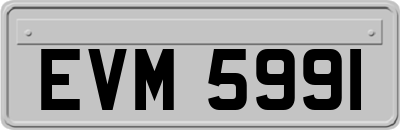 EVM5991
